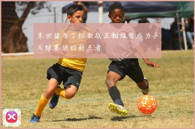 朱世赫与丁松激战正酣谁将成为乒乓球赛场的新王者