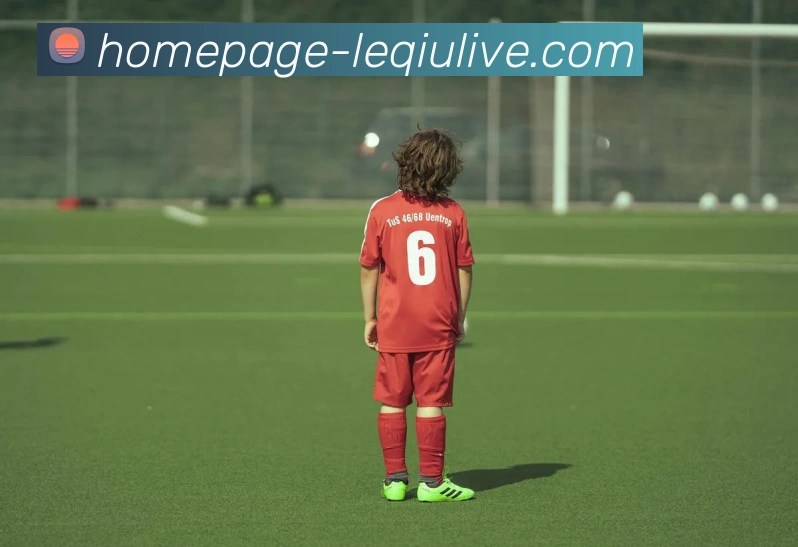 乐球直播平台生态图