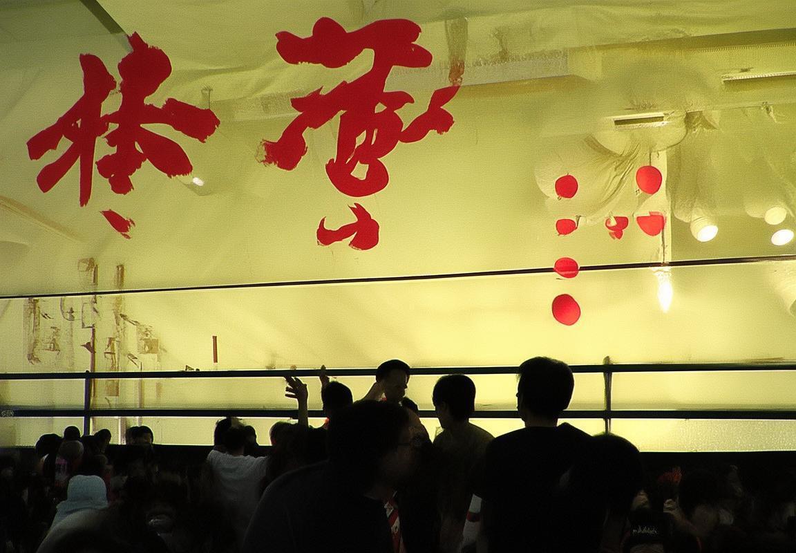 俄罗斯与巴西巅峰对决：体育盛宴背后的国际影响